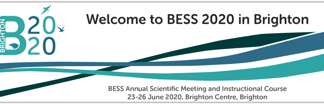 BESS – Brighton