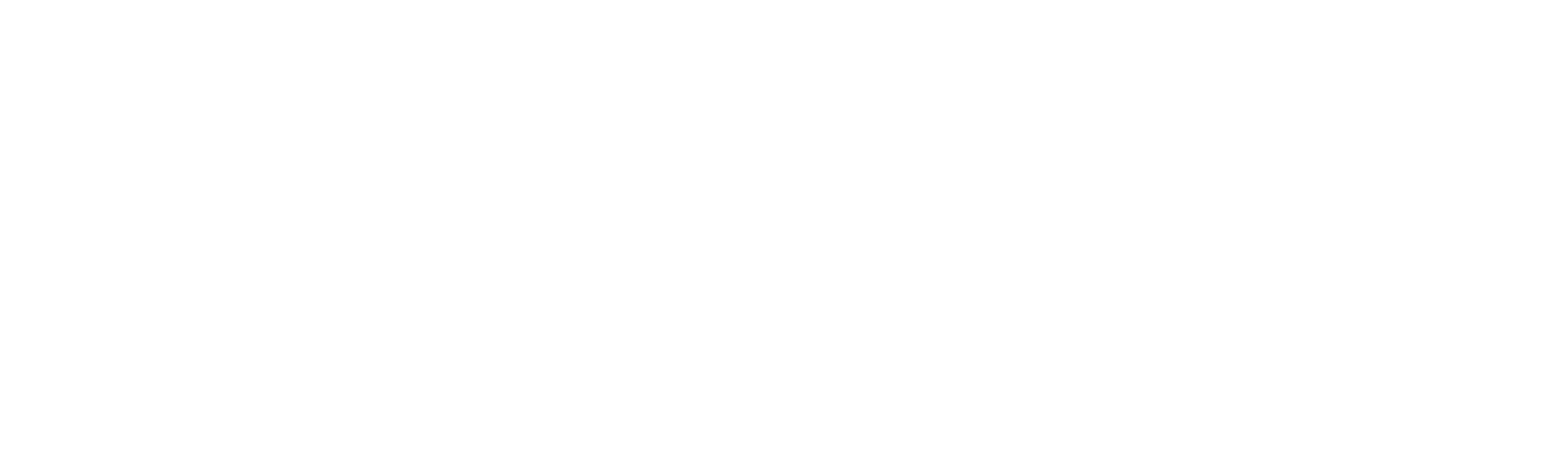 Integrum Osseointegration